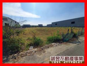 誠昱/保吉路面大面寬黃金.