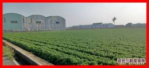 誠昱/新吉1公頃一般農牧.