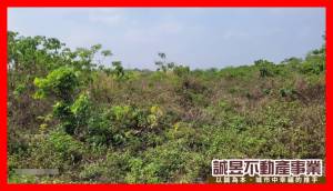 誠昱/玉井三埔有資室農地